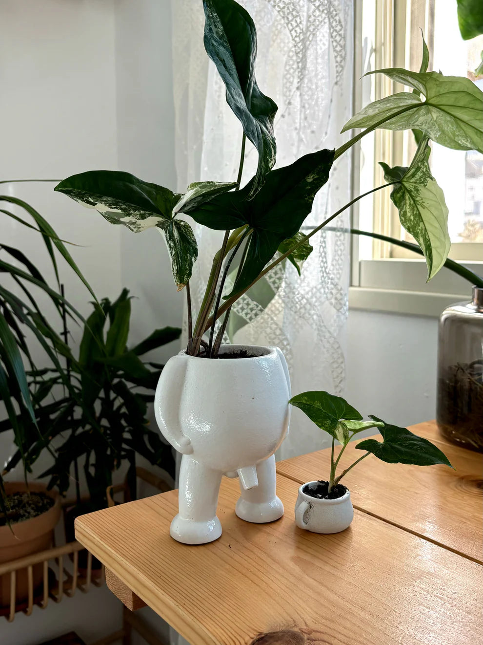 Faugettt Ceramic Relief Pot & Potty